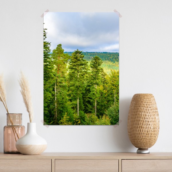 Plakat Czarny Las jesienna panorama drzew – Wallissimo® Plakat Czarny Las jesienna panorama drzew – Wallissimo®