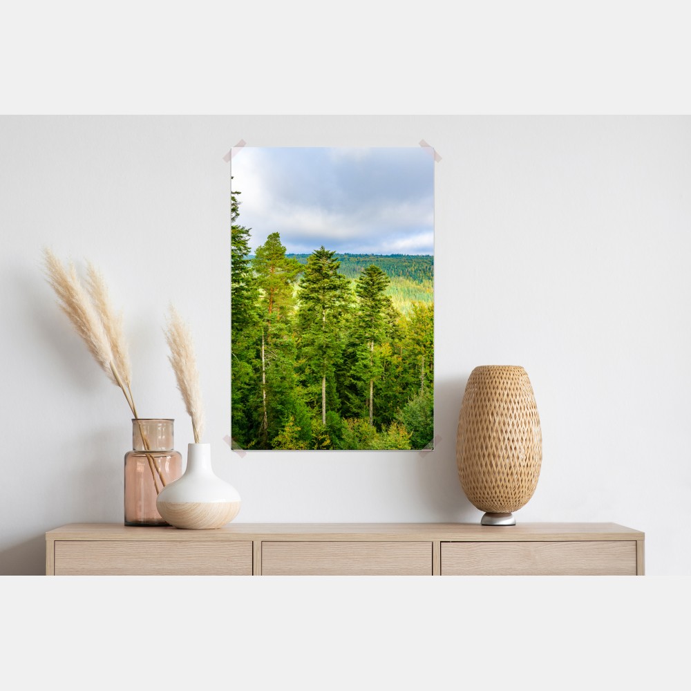 Plakat Czarny Las jesienna panorama drzew – Wallissimo® Plakat Czarny Las jesienna panorama drzew – Wallissimo®