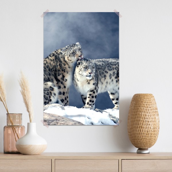 Plakat majestatyczne pantery śnieżne w zimie – Wallissimo® Plakat majestatyczne pantery śnieżne w zimie – Wallissimo®