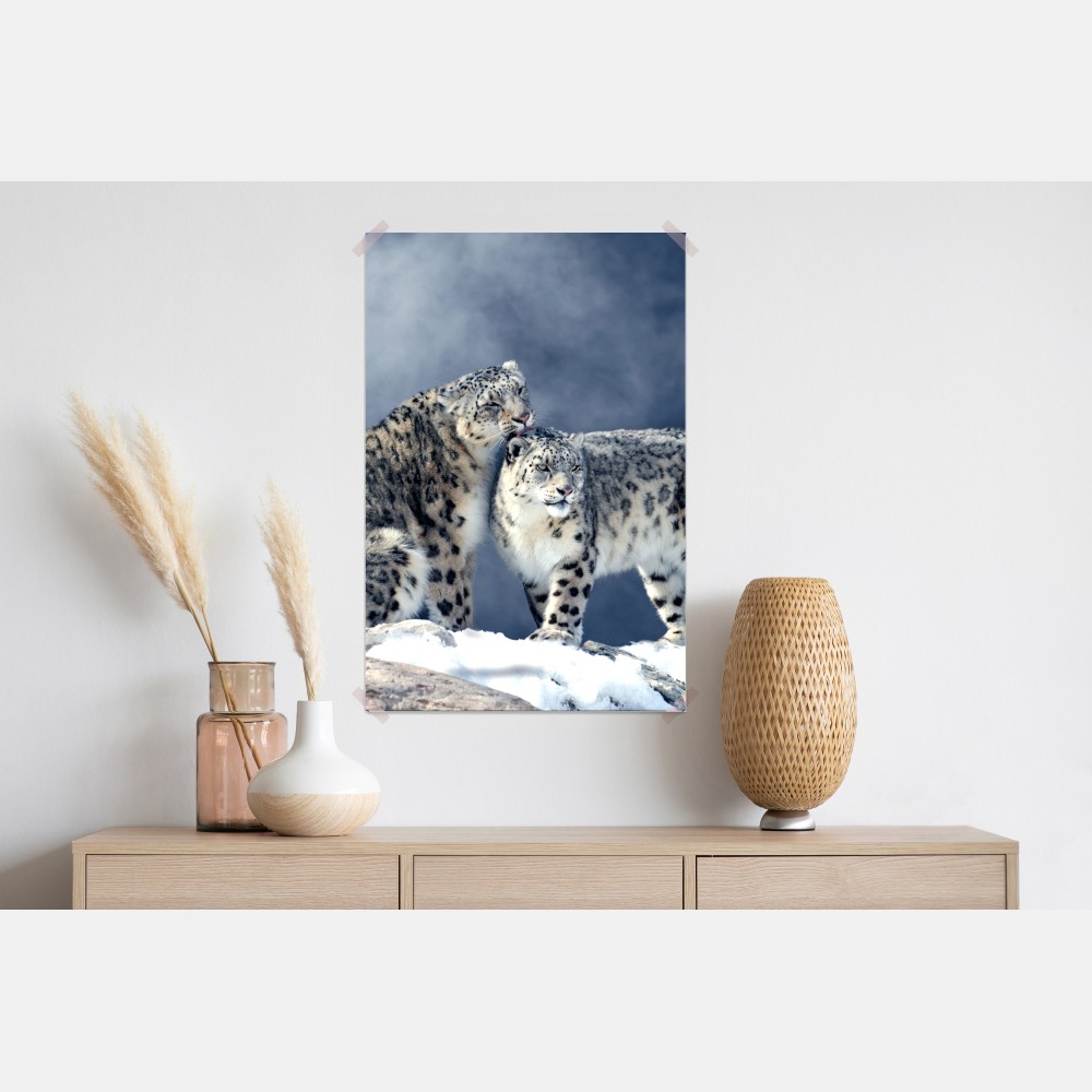 Plakat majestatyczne pantery śnieżne w zimie – Wallissimo® Plakat majestatyczne pantery śnieżne w zimie – Wallissimo®