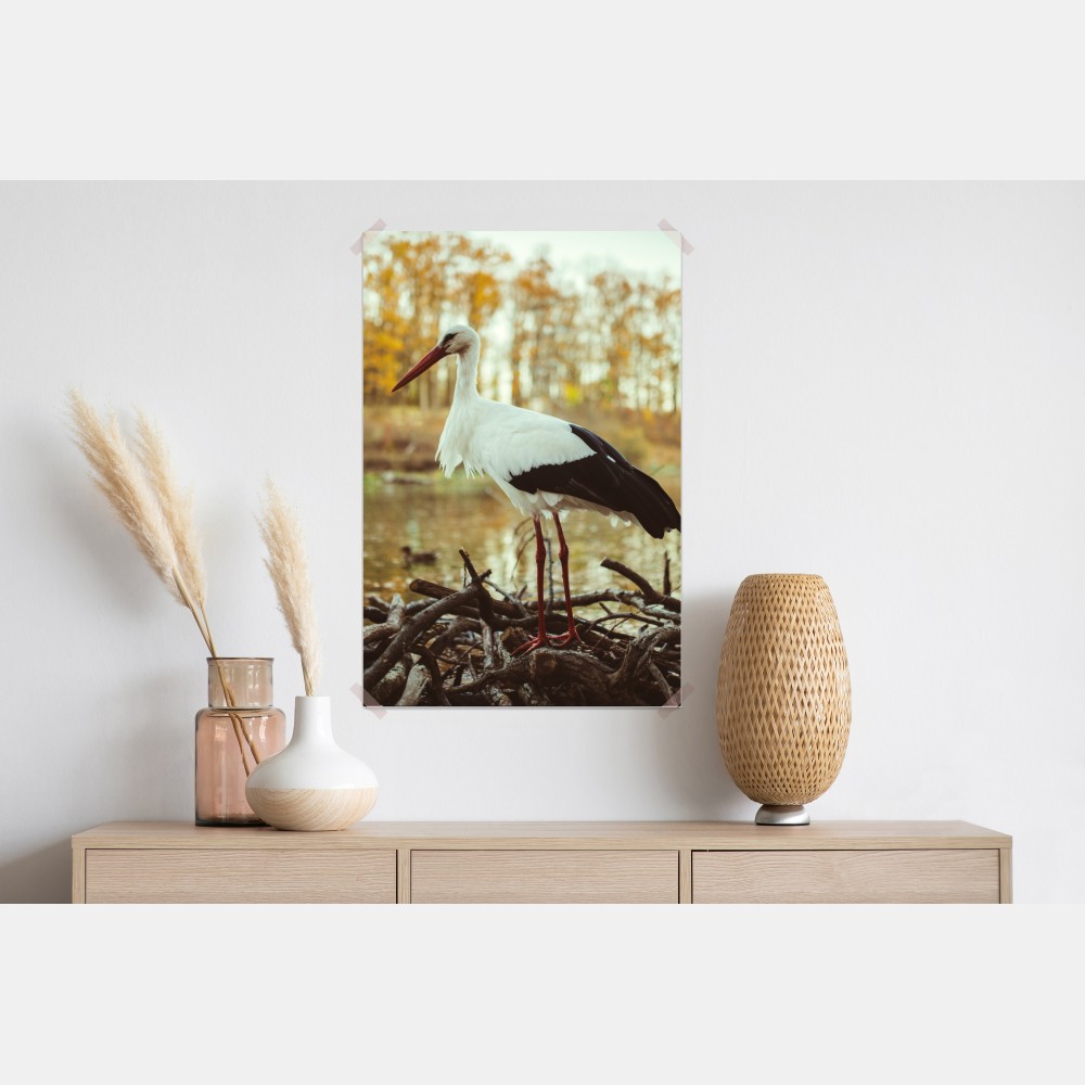 Plakat biały bocian nad jesiennym jeziorem – Wallissimo® Plakat biały bocian nad jesiennym jeziorem – Wallissimo®