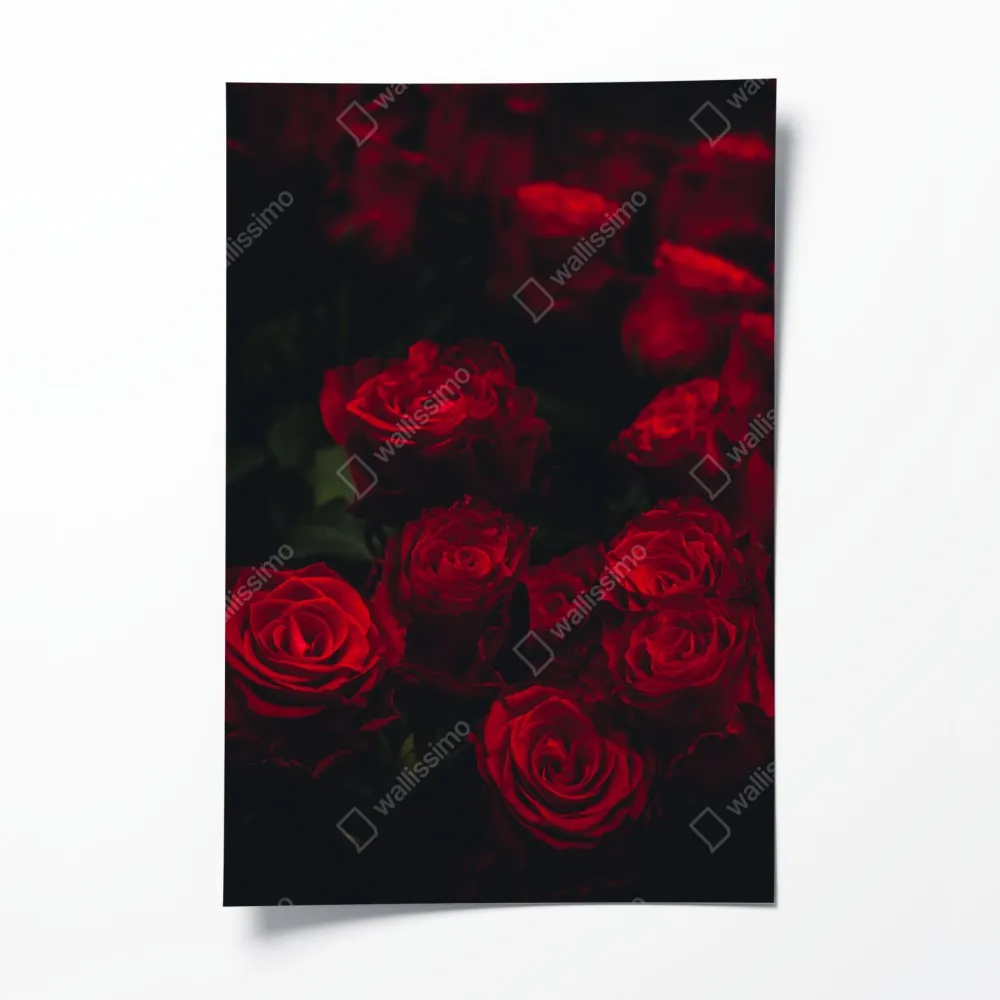Plakat bukiet czerwonych róż – Wallissimo® Plakat bukiet czerwonych róż – Wallissimo®