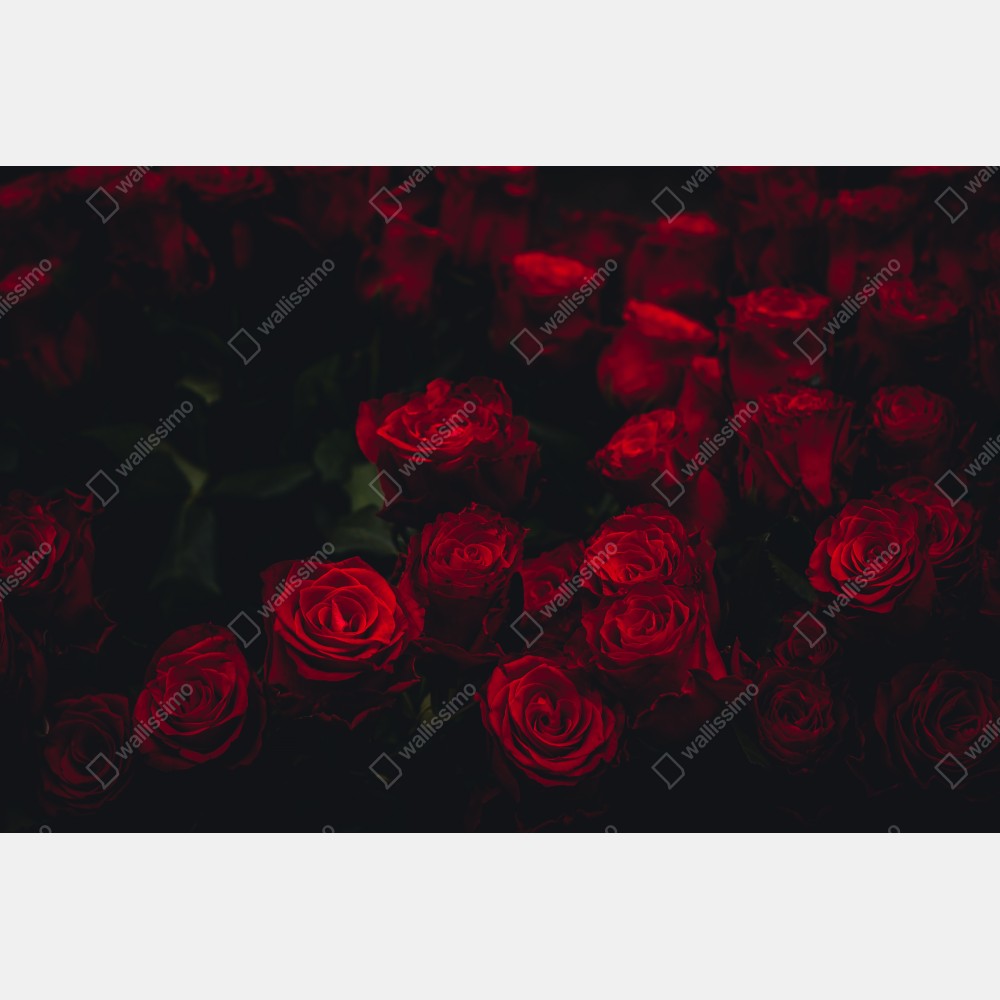Plakat bukiet czerwonych róż – Wallissimo® Plakat bukiet czerwonych róż – Wallissimo®
