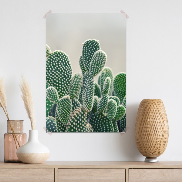 Plakat zbliżenie kaktusa opuncji – Wallissimo® Plakat zbliżenie kaktusa opuncji – Wallissimo®