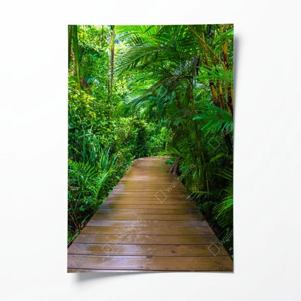 Plakat mangrowa kładka w bujnej zielonej dżungli