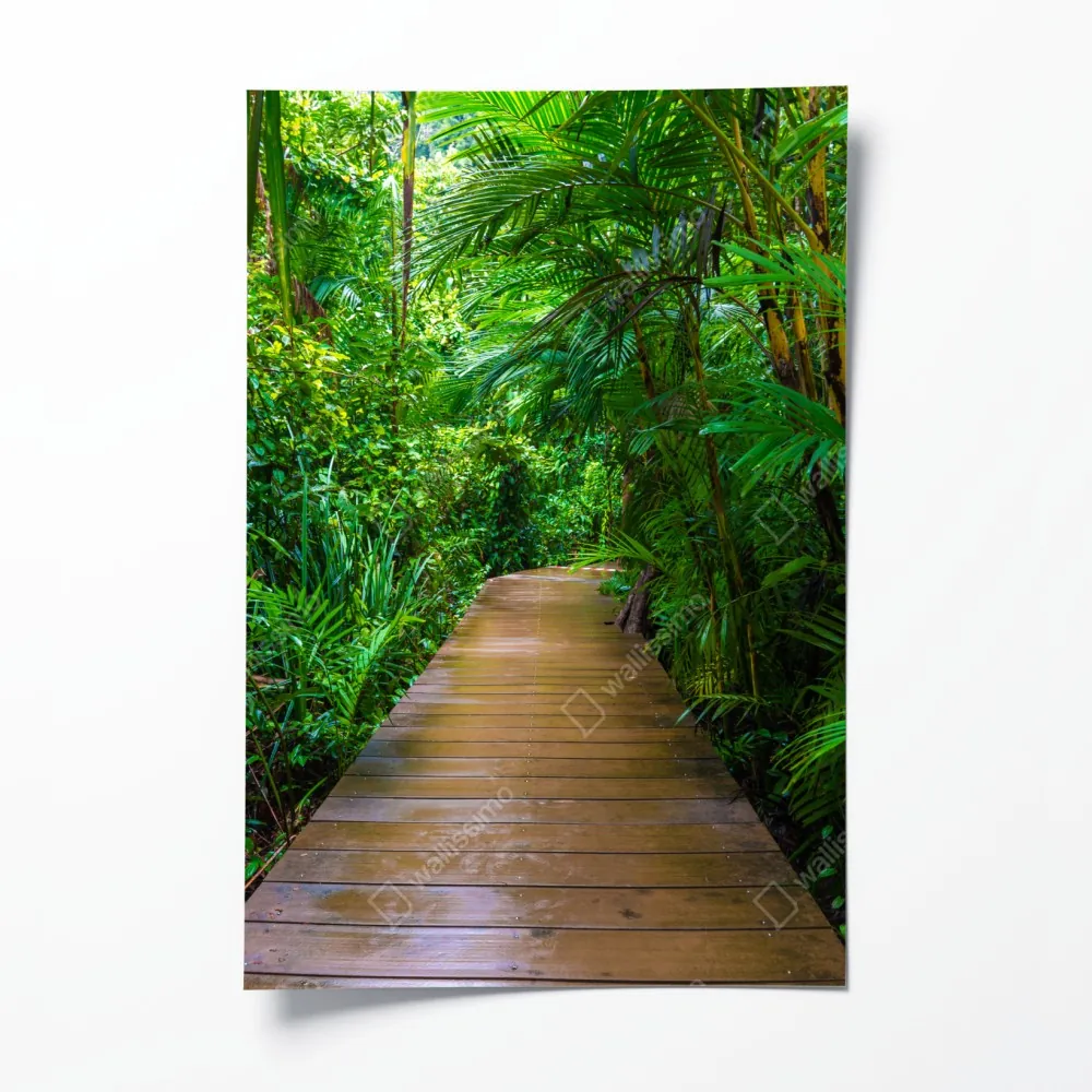 Plakat mangrowa kładka w bujnej zielonej dżungli – Wallissimo® Plakat mangrowa kładka w bujnej zielonej dżungli – Wallissimo®