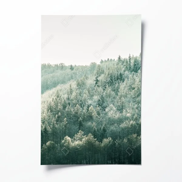 Plakat mglisty szronowy las