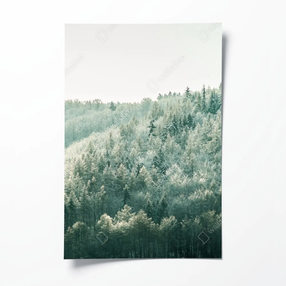 Plakat mglisty szronowy las – Wallissimo® Plakat mglisty szronowy las – Wallissimo®