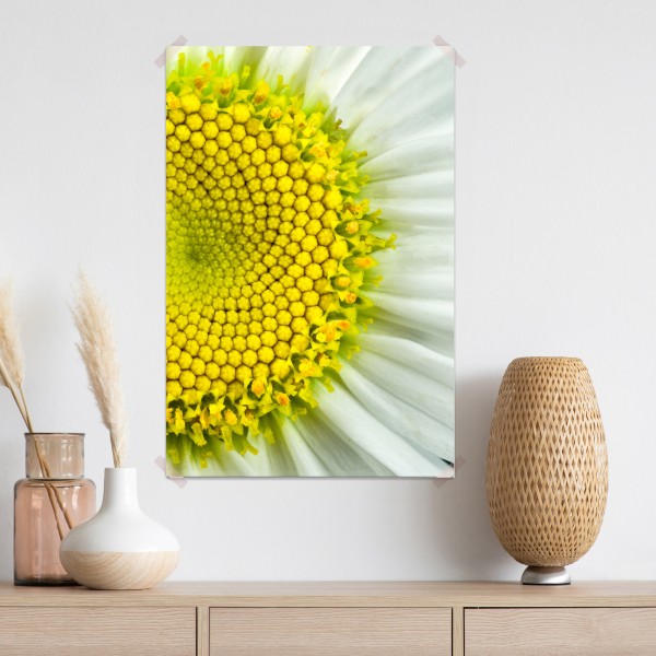 Plakat makro stokrotki w spiralnym wzorze – Wallissimo® Plakat makro stokrotki w spiralnym wzorze – Wallissimo®