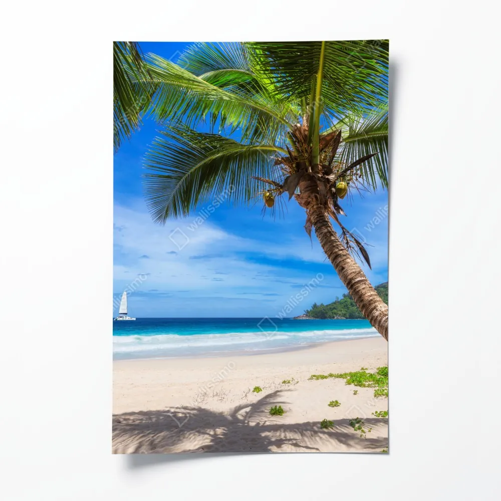 Plakat tropikalna plaża z palmą – Wallissimo® Plakat tropikalna plaża z palmą – Wallissimo®