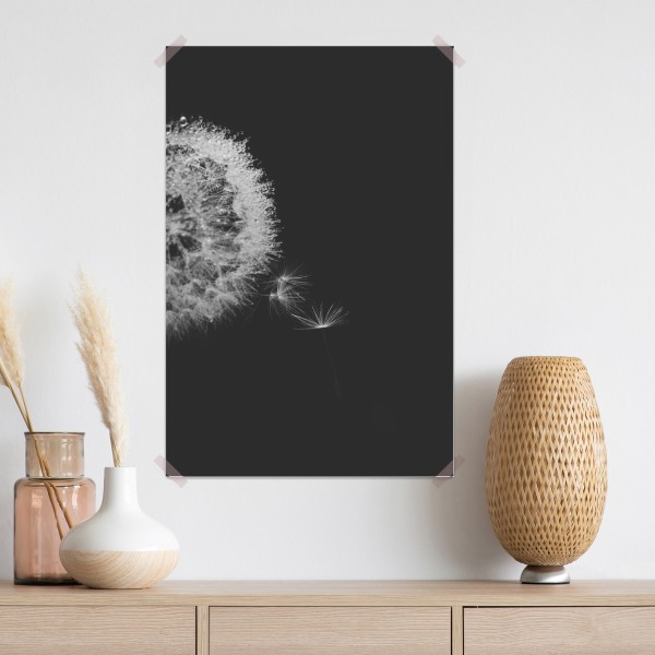 Plakat delikatny dmuchawiec w monochromie – Wallissimo® Plakat delikatny dmuchawiec w monochromie – Wallissimo®