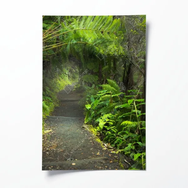 Plakat gęste zielone liście – Wallissimo®