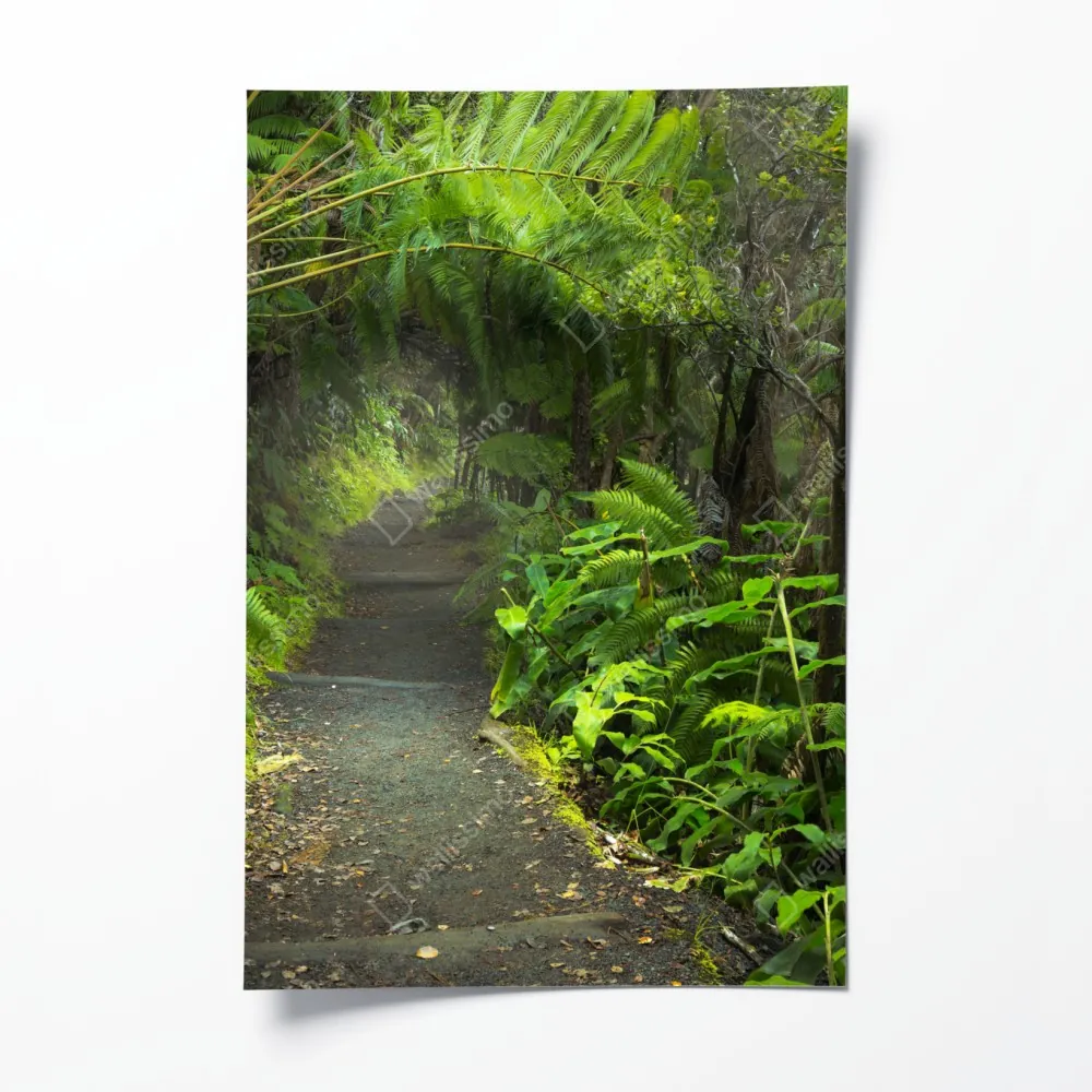 Plakat bujny las deszczowy na szlaku Kilauea Iki, Hawaje – Wallissimo® Plakat bujny las deszczowy na szlaku Kilauea Iki, Hawaje – Wallissimo®