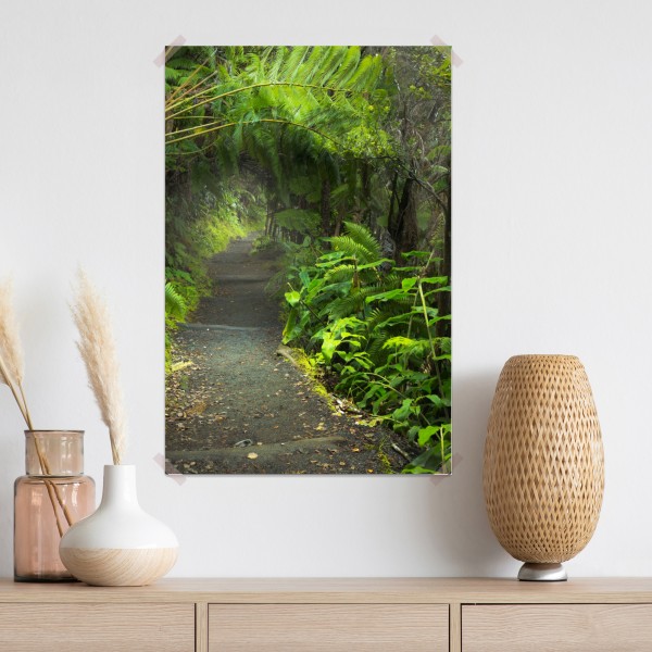 Plakat bujny las deszczowy na szlaku Kilauea Iki, Hawaje – Wallissimo® Plakat bujny las deszczowy na szlaku Kilauea Iki, Hawaje – Wallissimo®