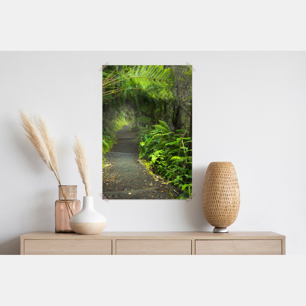 Plakat bujny las deszczowy na szlaku Kilauea Iki, Hawaje – Wallissimo® Plakat bujny las deszczowy na szlaku Kilauea Iki, Hawaje – Wallissimo®