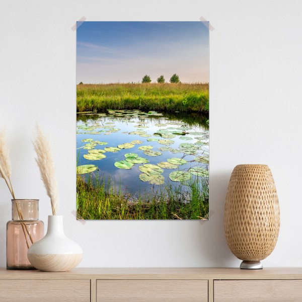 Plakat spokojny staw z grążelami na łące – Wallissimo® Plakat spokojny staw z grążelami na łące – Wallissimo®