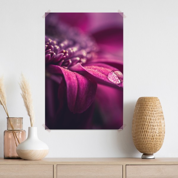 Plakat fioletowy makro kwiat z kroplą rosy – Wallissimo® Plakat fioletowy makro kwiat z kroplą rosy – Wallissimo®