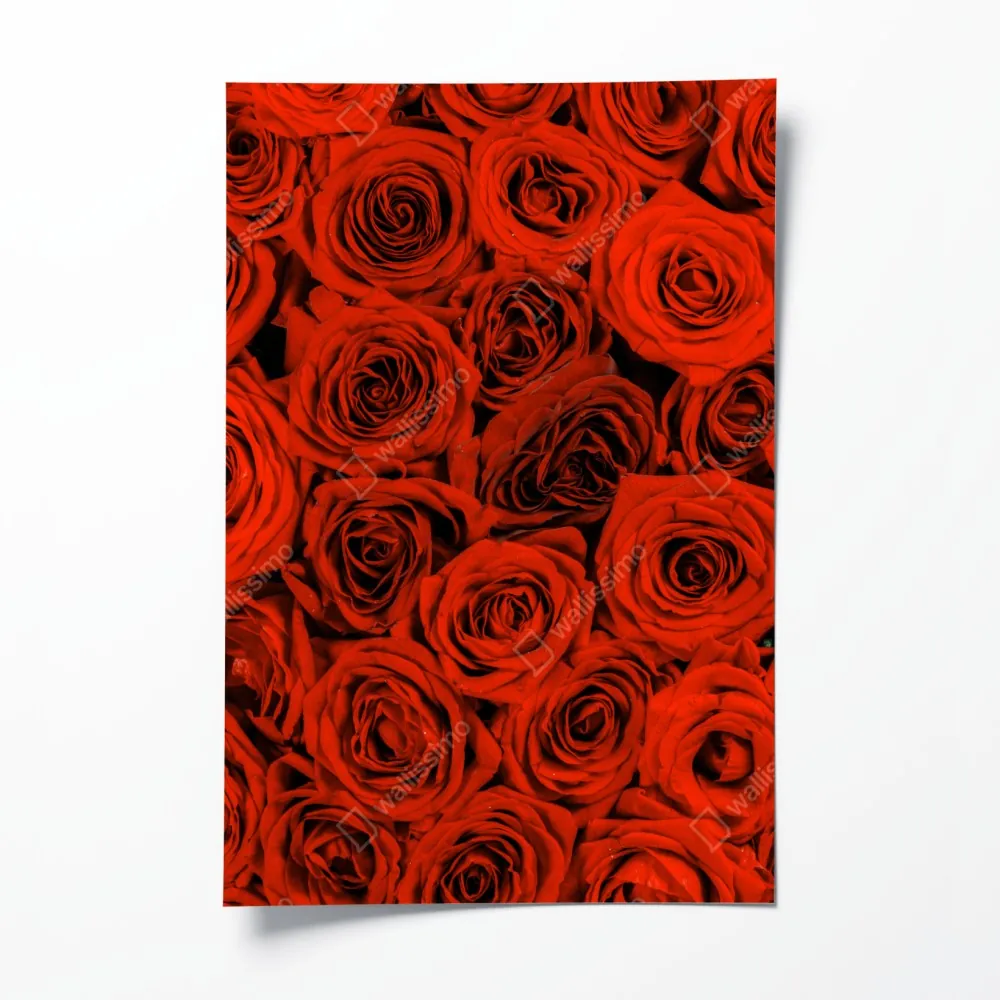 Plakat bujny bukiet czerwonych róż – Wallissimo® Plakat bujny bukiet czerwonych róż – Wallissimo®