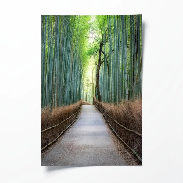 Plakat mglisty wodospad w bujnej dolinie – Wallissimo®