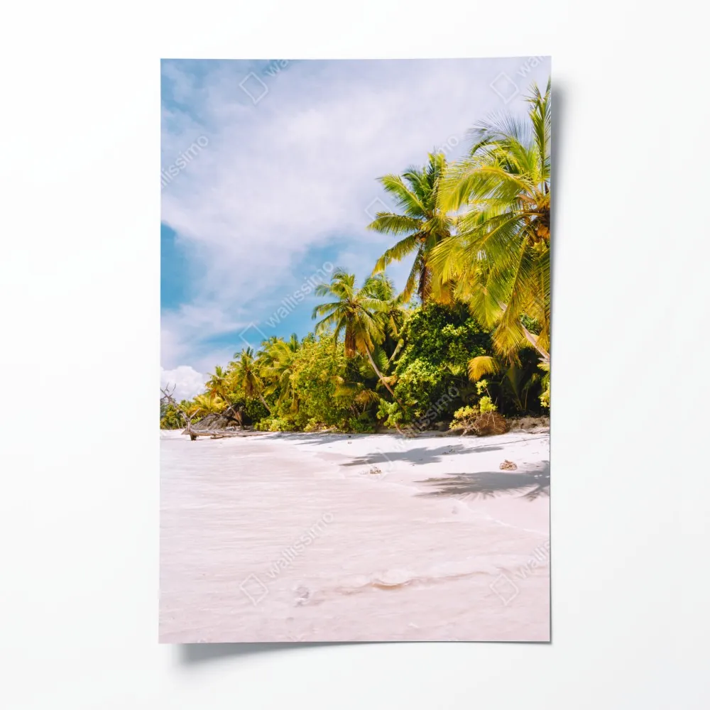 Plakat tropikalna plaża z palmami – Wallissimo® Plakat tropikalna plaża z palmami – Wallissimo®