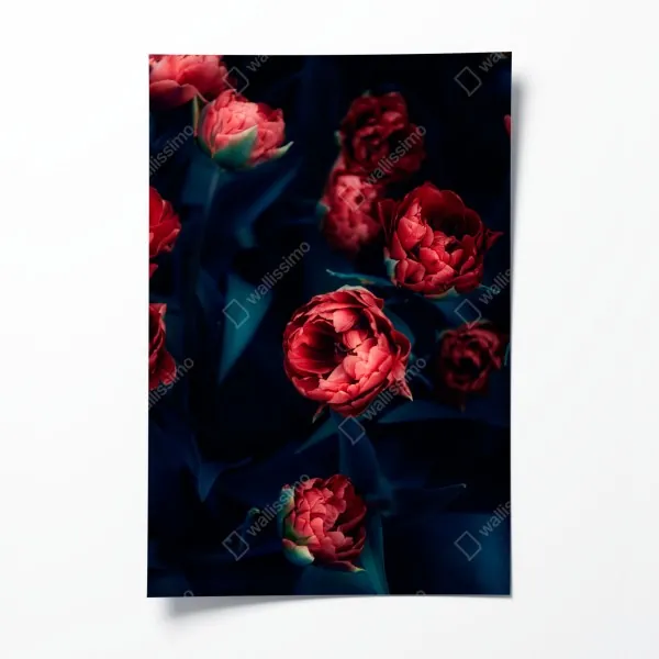Plakat ponury bukiet czerwonych tulipanów