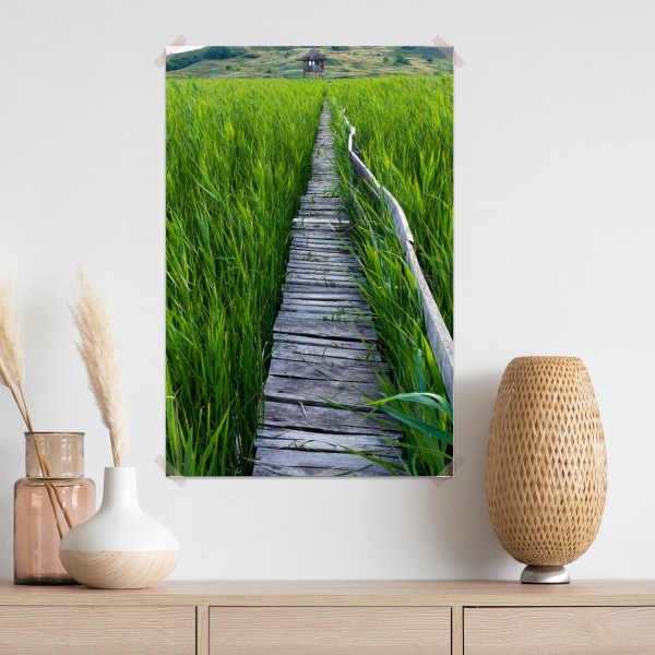 Plakat spokojny zielony pomost przez trzcinowisko do rustykalnej chaty – Wallissimo® Plakat spokojny zielony pomost przez trzcinowisko do rustykalnej chaty – Wallissimo®