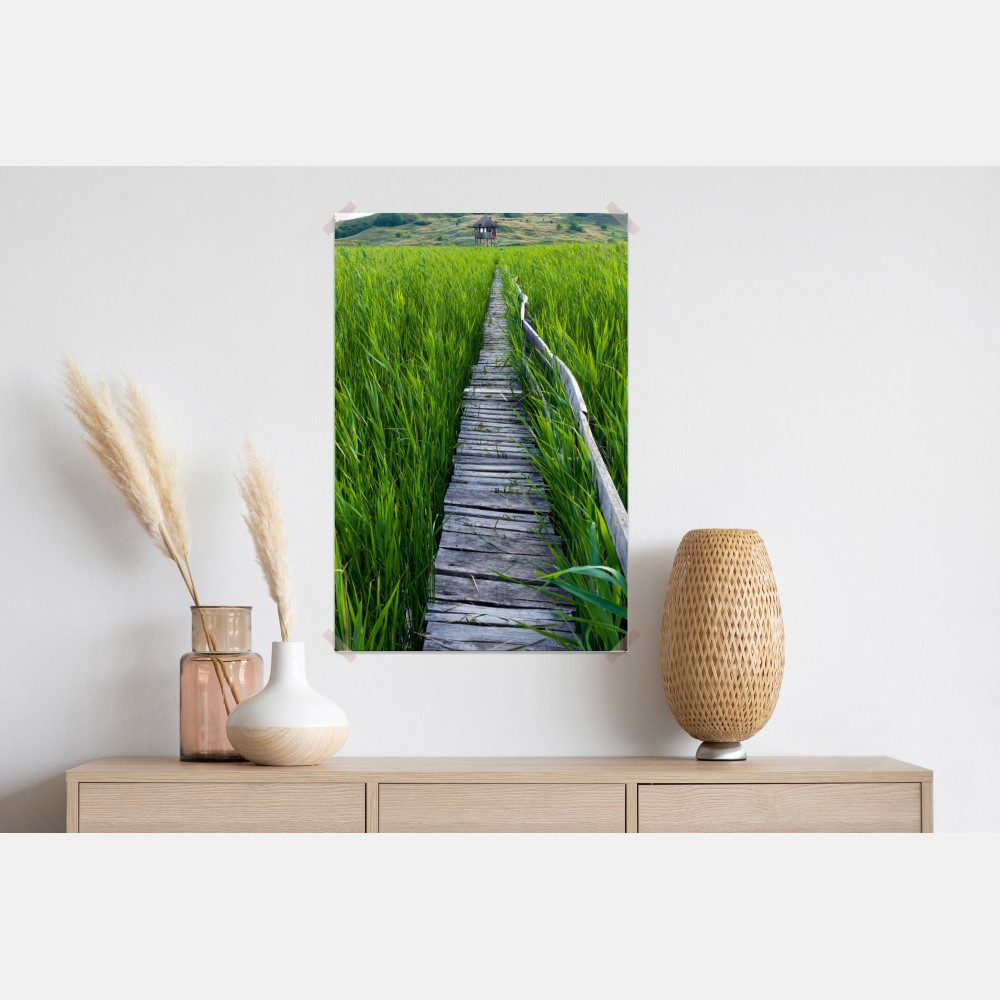 Plakat spokojny zielony pomost przez trzcinowisko do rustykalnej chaty – Wallissimo® Plakat spokojny zielony pomost przez trzcinowisko do rustykalnej chaty – Wallissimo®