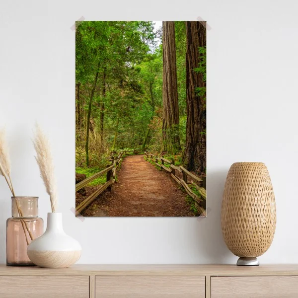 Plakat majestatyczna ścieżka w lesie sekwoi – Wallissimo® Plakat majestatyczna ścieżka w lesie sekwoi – Wallissimo®