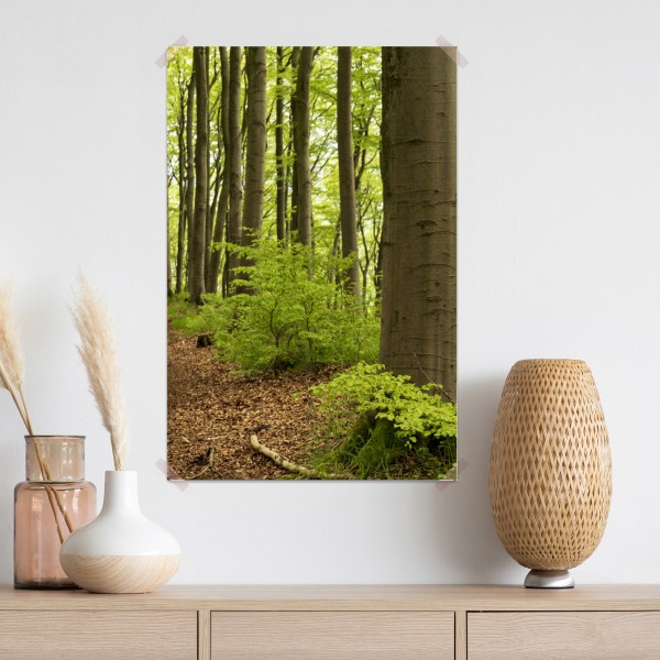Plakat spokojna zielona ścieżka leśna – Wallissimo® Plakat spokojna zielona ścieżka leśna – Wallissimo®