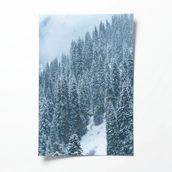 Plakat mglisty ośnieżony las sosnowy