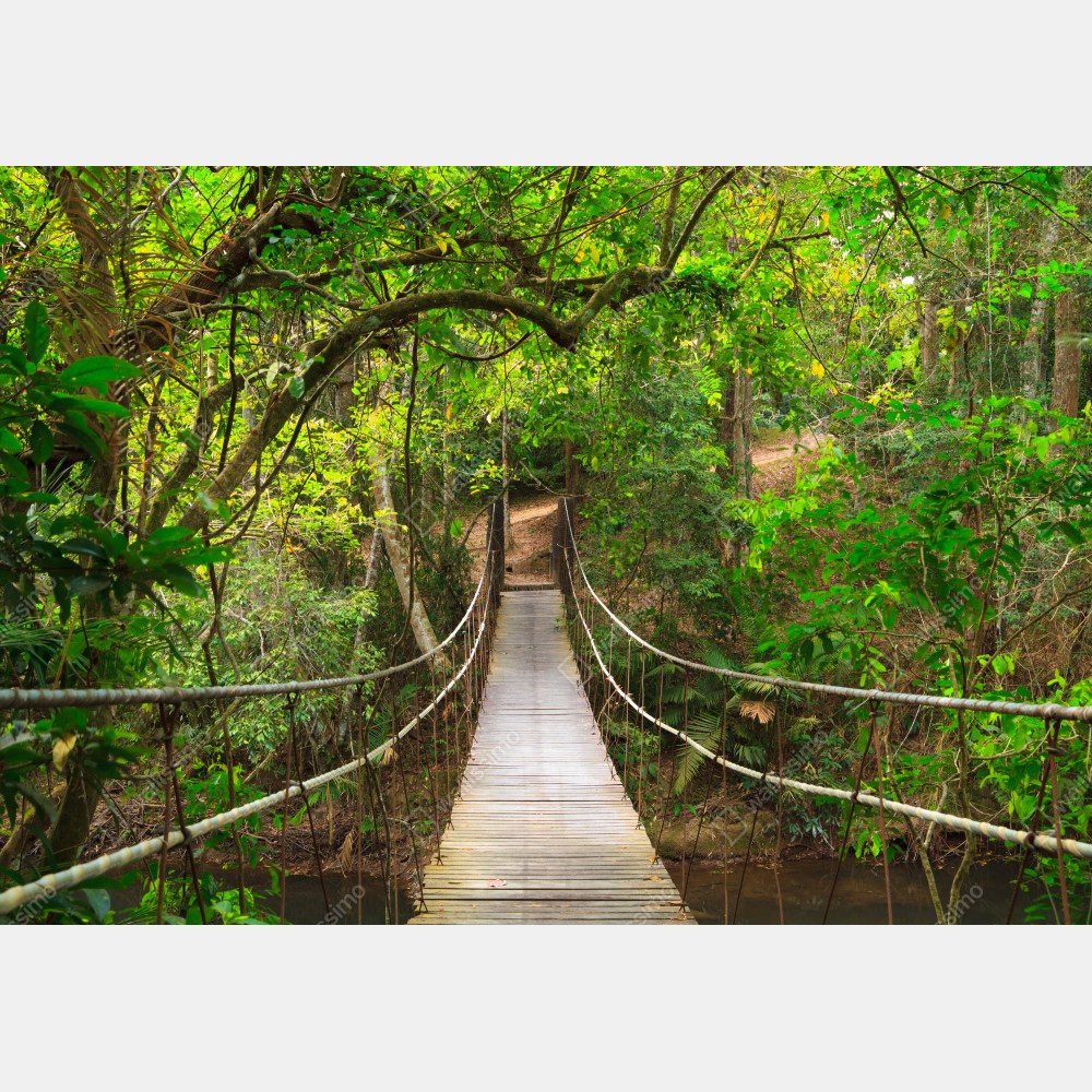 Plakat wiszący drewniany most w zielonym lesie – Wallissimo® Plakat wiszący drewniany most w zielonym lesie – Wallissimo®