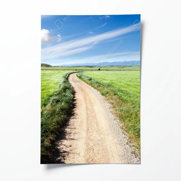 Plakat wzór liści monstera ze złotymi akcentami – Wallissimo®