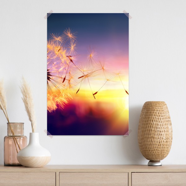 Plakat złoty mniszek przy zachodzie słońca – Wallissimo® Plakat złoty mniszek przy zachodzie słońca – Wallissimo®