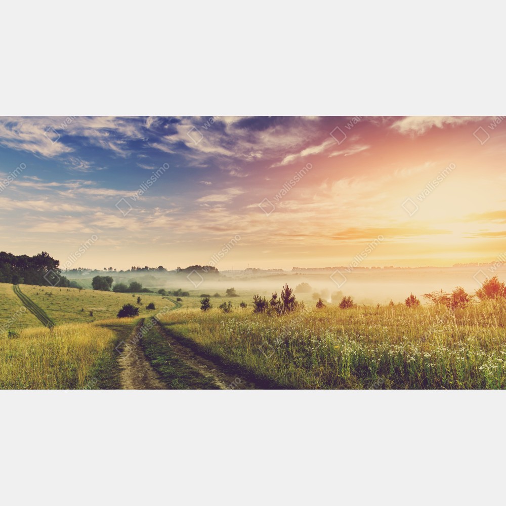 Plakat mglisty wschód słońca nad wiejską łąką – Wallissimo® Plakat mglisty wschód słońca nad wiejską łąką – Wallissimo®